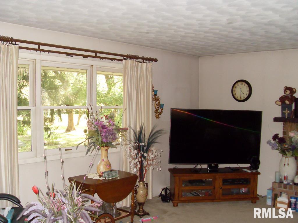 514 Justa Road Metamora, IL 61548 - Photo 10 of 20