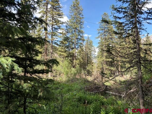 10.33-ac 10.33-ac Imogene Road Ridgway, CO 81432 - Photo 12 of 22