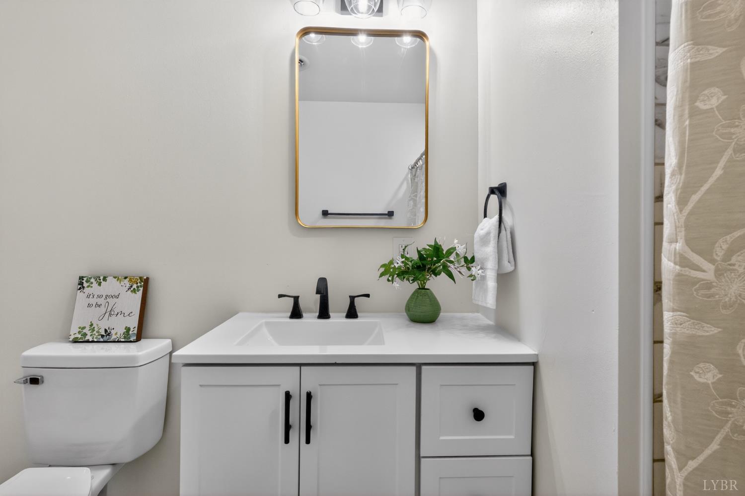 5981-3 3 Creeks Road Gladys, VA 24554 - Photo 17 of 37 a bathroom with a sink a toilet and a mirror