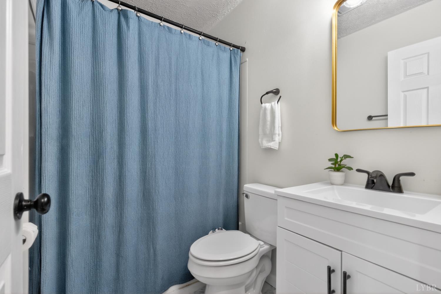 5981-3 3 Creeks Road Gladys, VA 24554 - Photo 19 of 37 a bathroom with a sink toilet and vanity