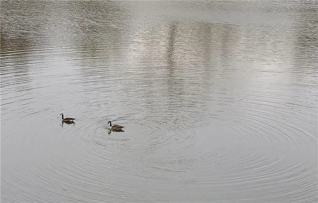 $2,500 | 40 Glenald Way Northwest, Atlanta, GA 30327