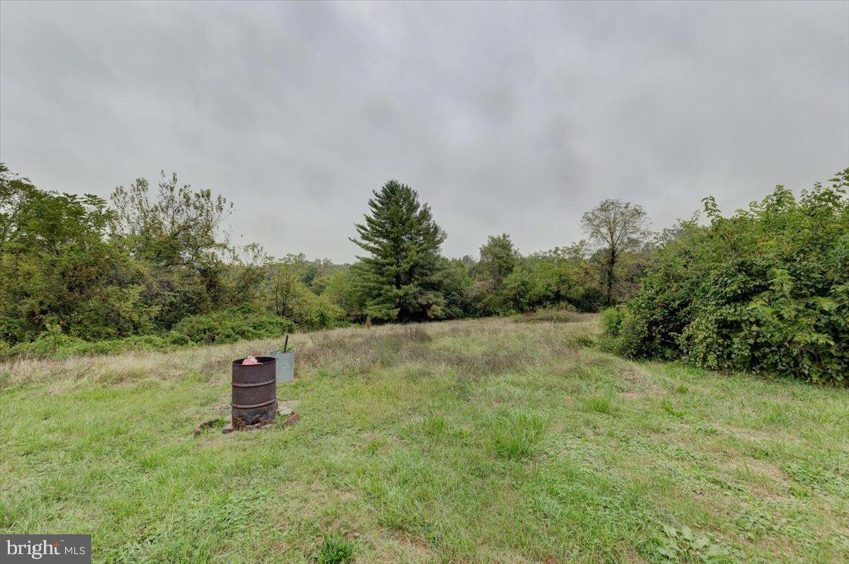 7306 Dogwood Road Baltimore, MD 21244 - Photo 13 of 37 Serene landscape with lush greenery.