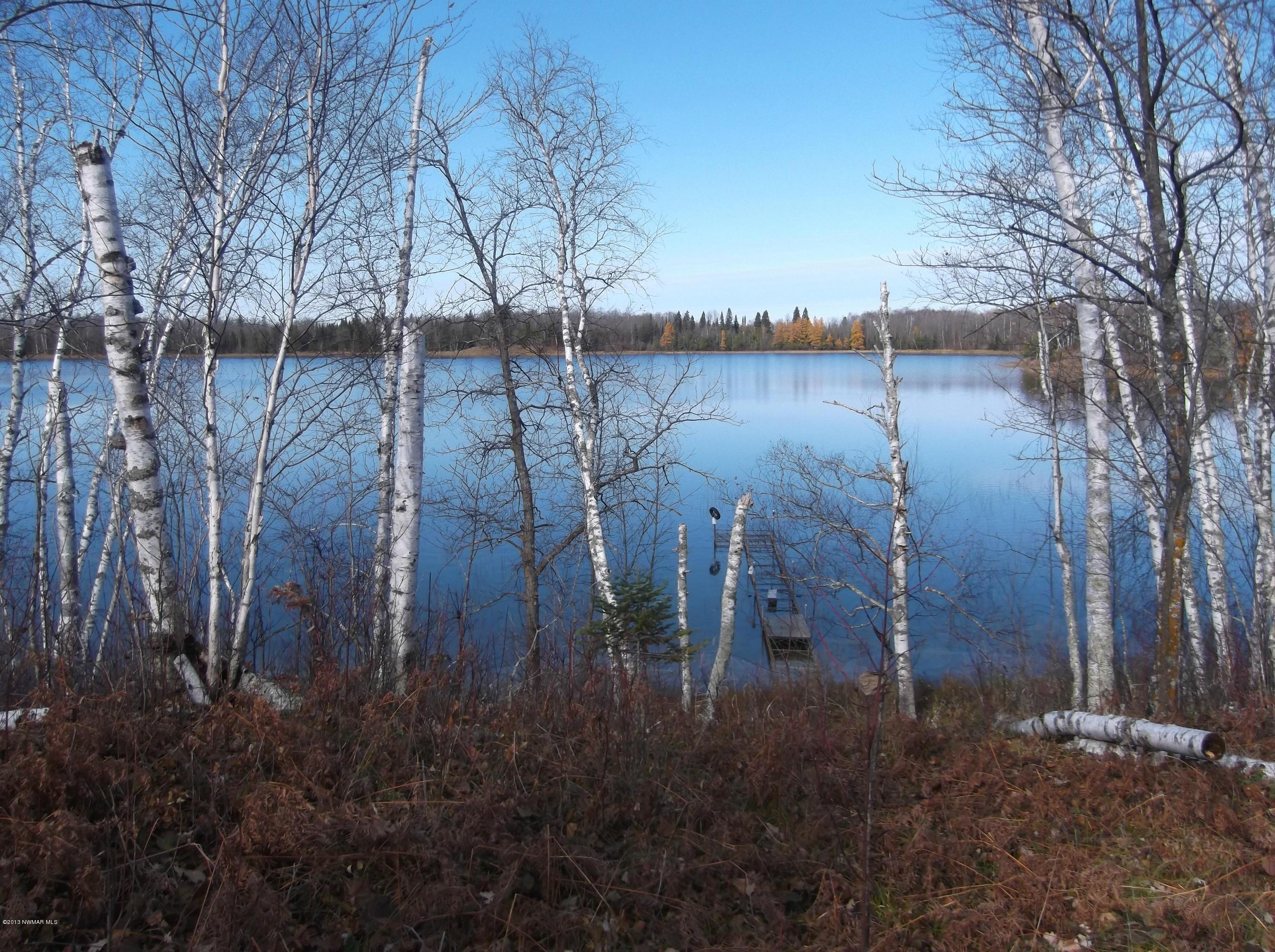 Silent Water Road Northeast Tenstrike, MN 56683 - Photo 1 of 1 Gallery Image 1