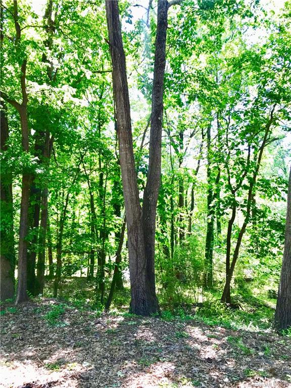 3201 Johnny Cake Lane Charlotte, NC 28226 - Photo 4 of 9