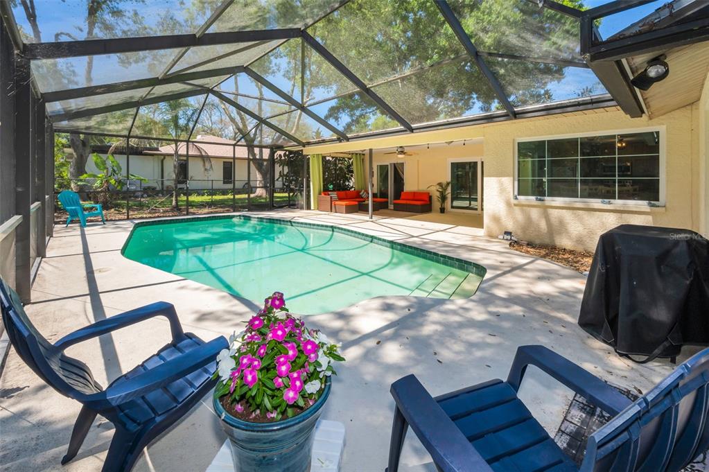 520 Sandy Hook Road Palm Harbor, FL 34683 - Photo 32 of 76