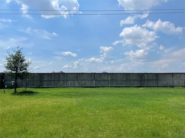a view of a yard