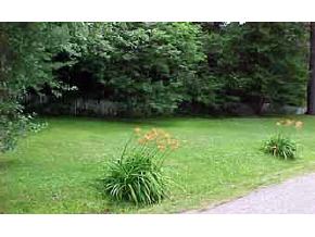 249 Northside Road Stark, NH 03582 - Photo 4 of 5