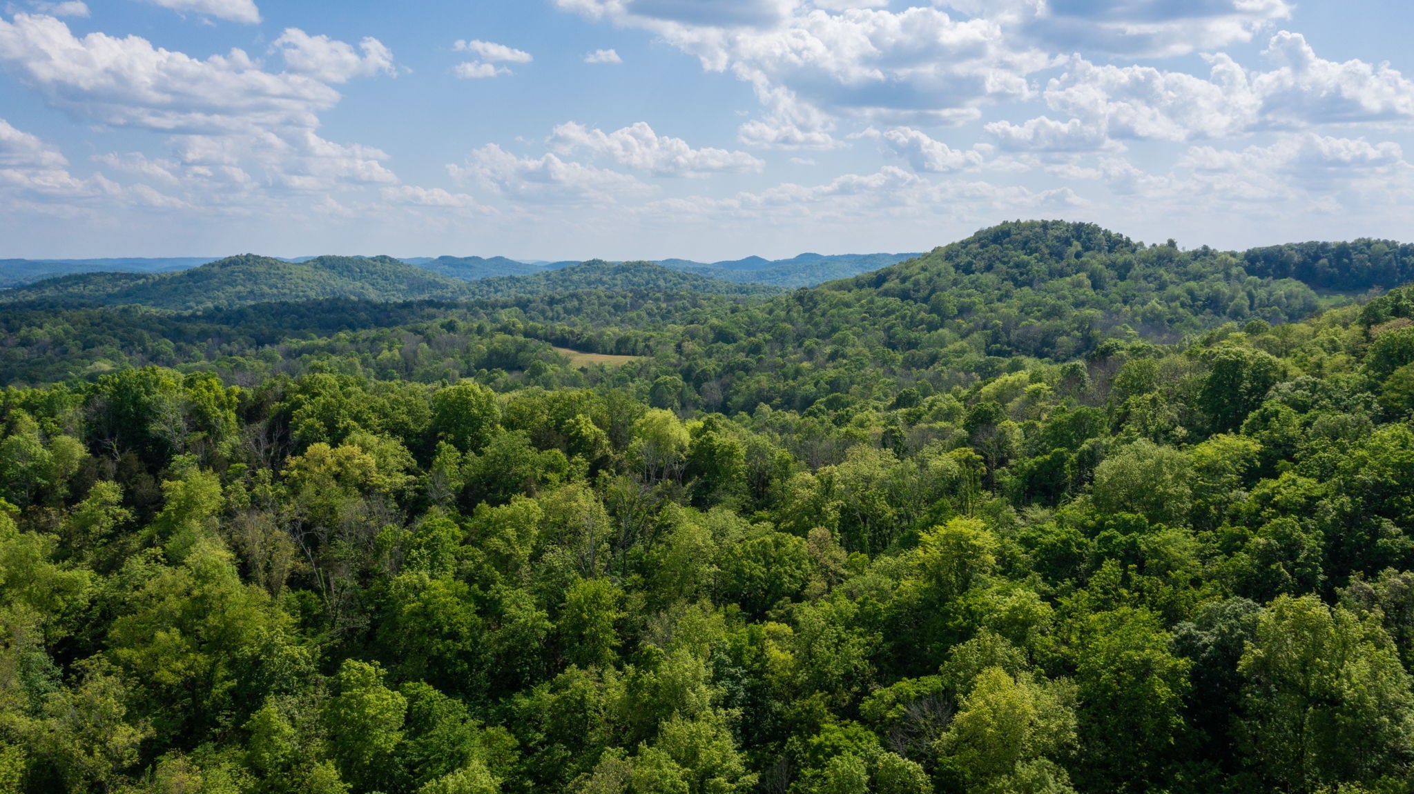 2517 Patton Hollow Road Watertown, TN 37184 - Photo 28 of 29