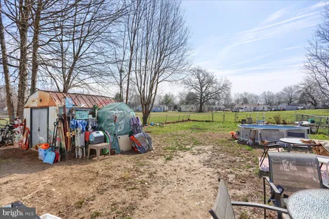 a view of a park with large trees