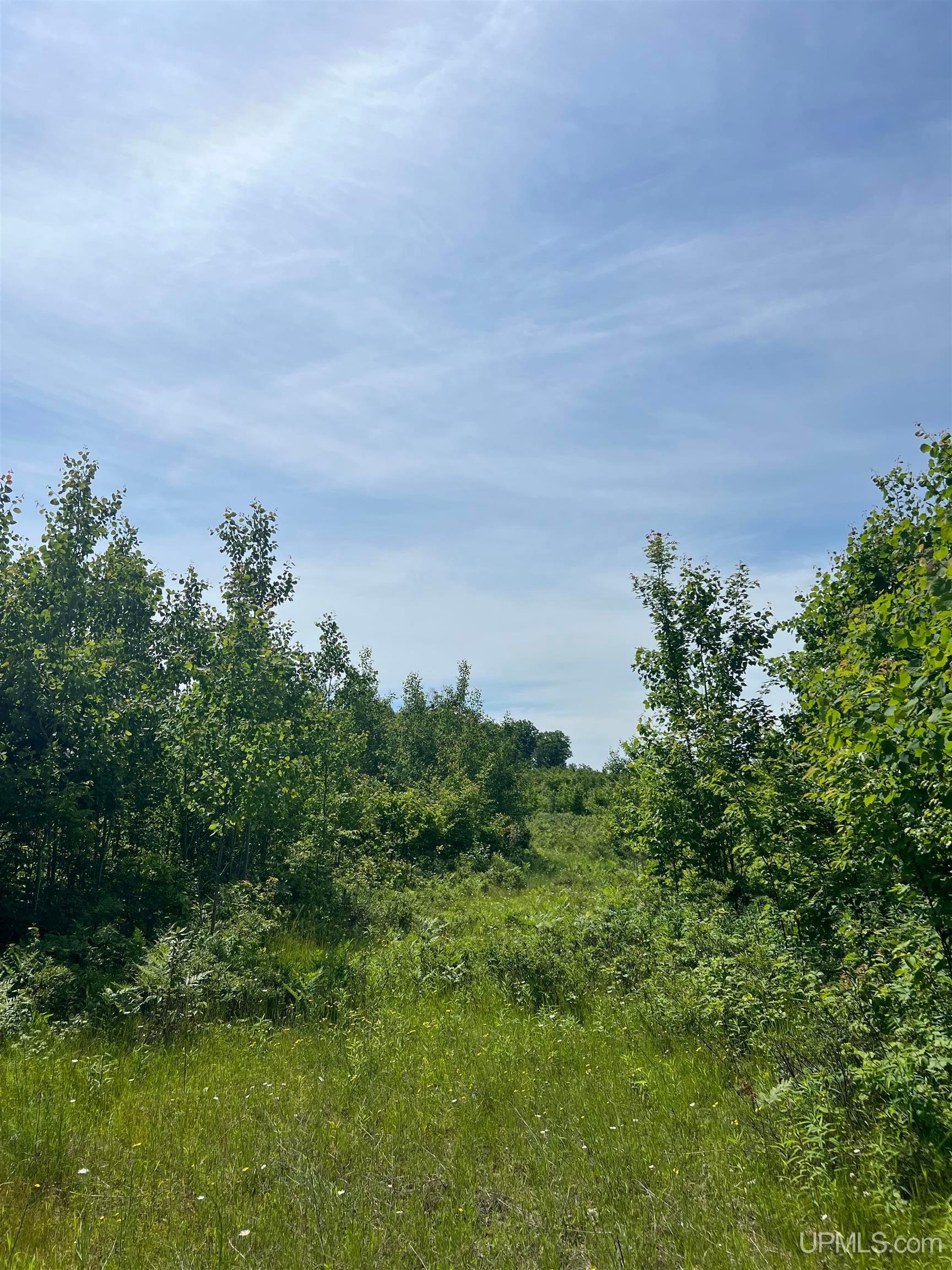 Tbd Chalk Hills Road Daggett, MI 49821 - Photo 51 of 59 Gallery Image 51