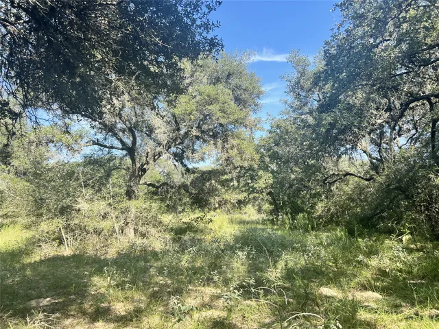 a view of a lake with a yard