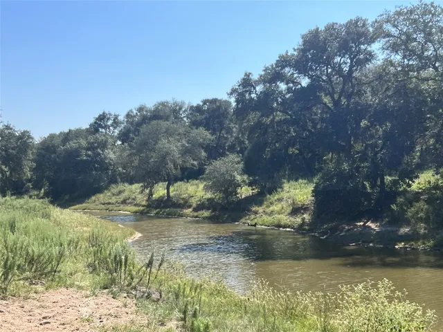 a yard with tall trees