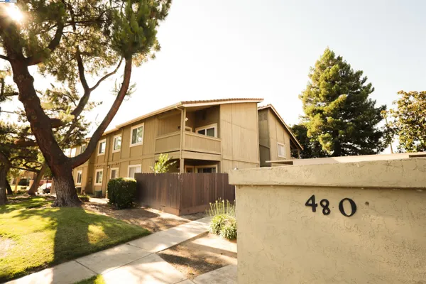 a view of a white house with a large tree