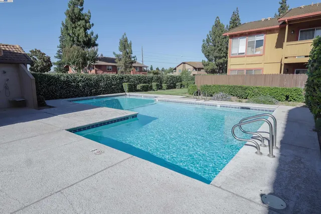 a view of a backyard with a garden and plants