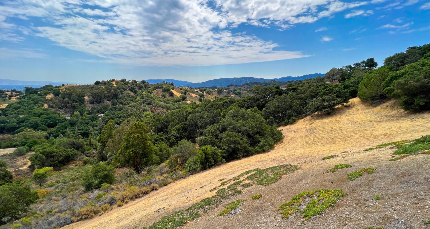 22365 Regnart Road Cupertino, CA 95014 - Photo 54 of 54 a view of a dry yard with green space