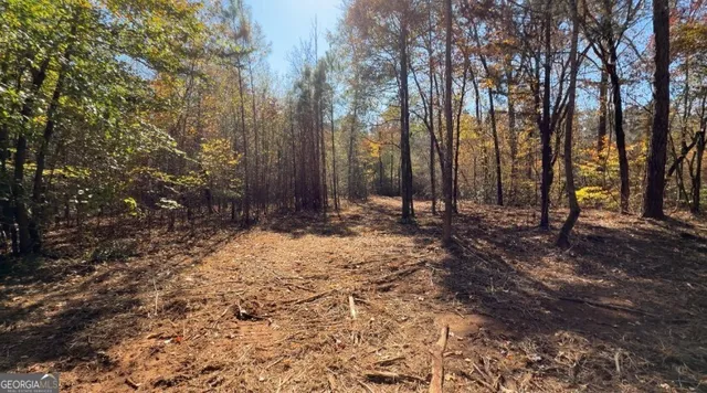 a view of outdoor space with trees