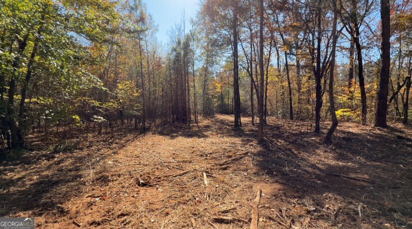 a view of outdoor space with trees