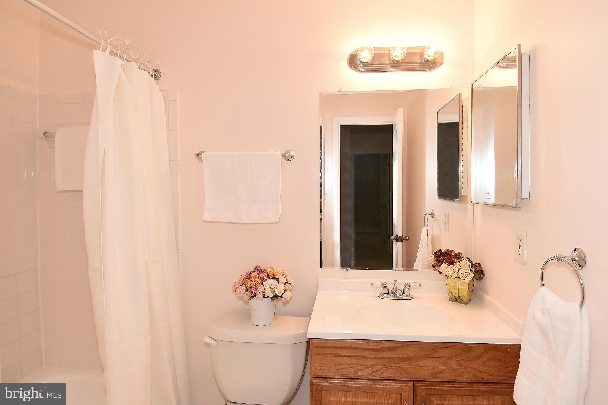 8568 Tyrolean Way Springfield, VA 22153 - Photo 23 of 27 Bath