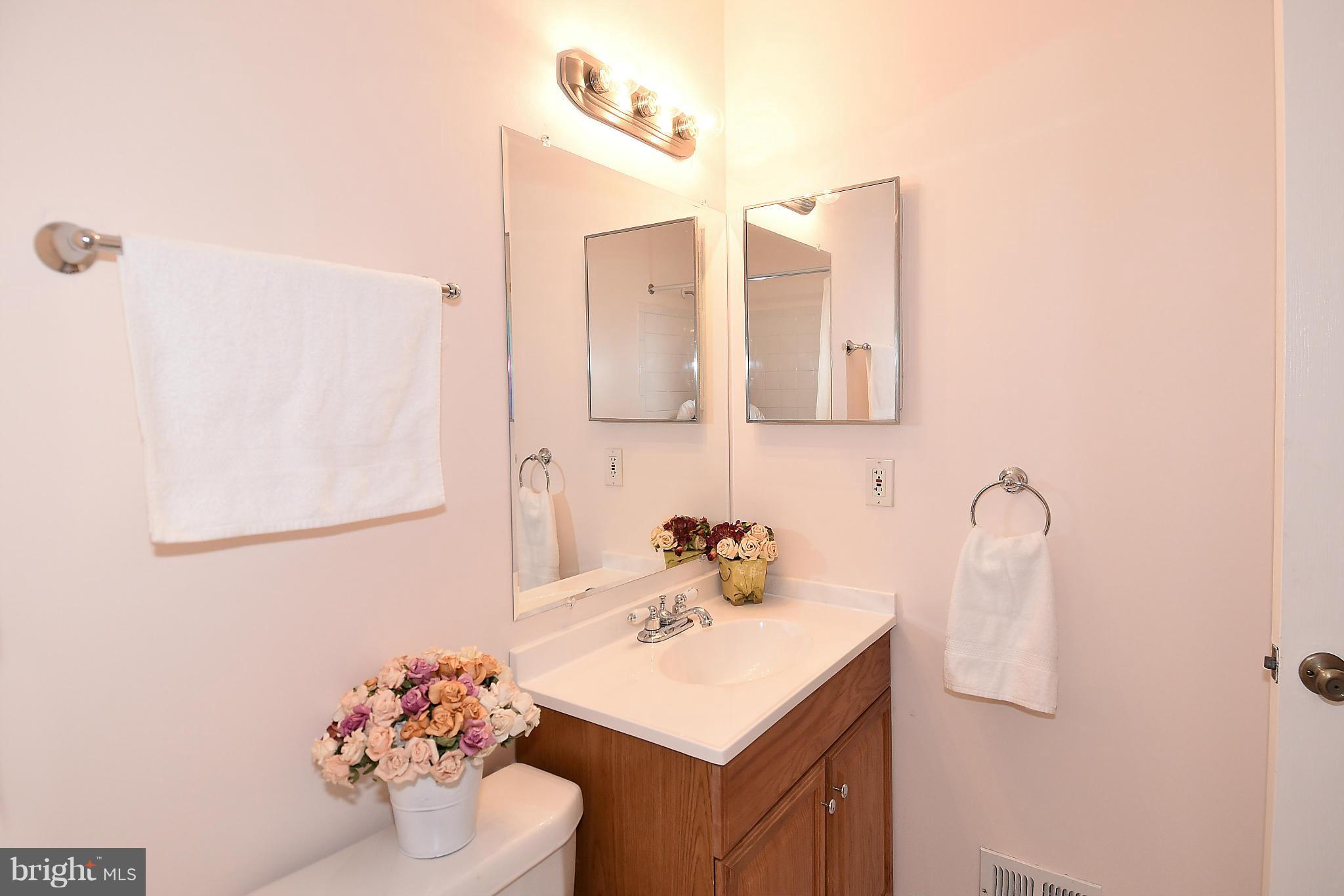 8568 Tyrolean Way Springfield, VA 22153 - Photo 24 of 27 Bath