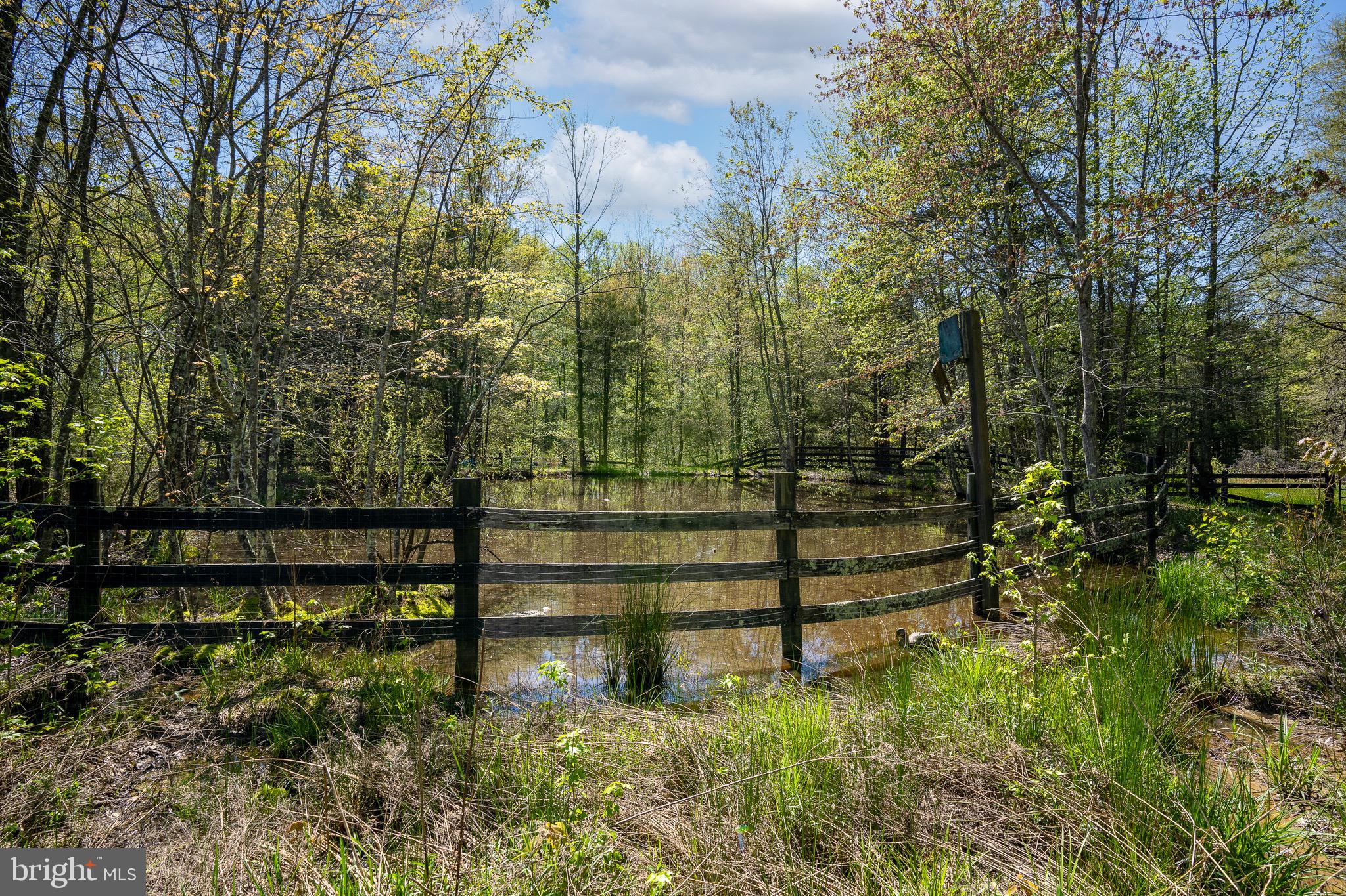 326 Cropp Road Fredericksburg, VA 22406 - Photo 34 of 34 Gallery Image 34