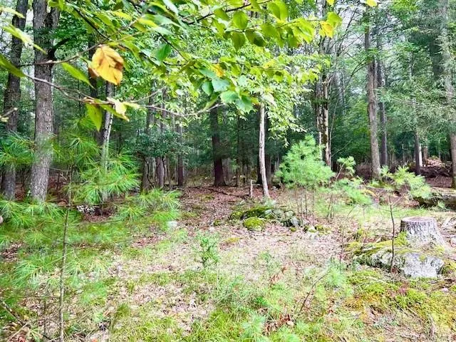 $159,000 | 250 County Road 21, Barryville, NY 12719