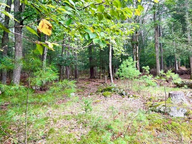 250 County Road 21 Barryville, NY 12719 - Photo 16 of 18 a backyard of a house with lots of green space and fountain
