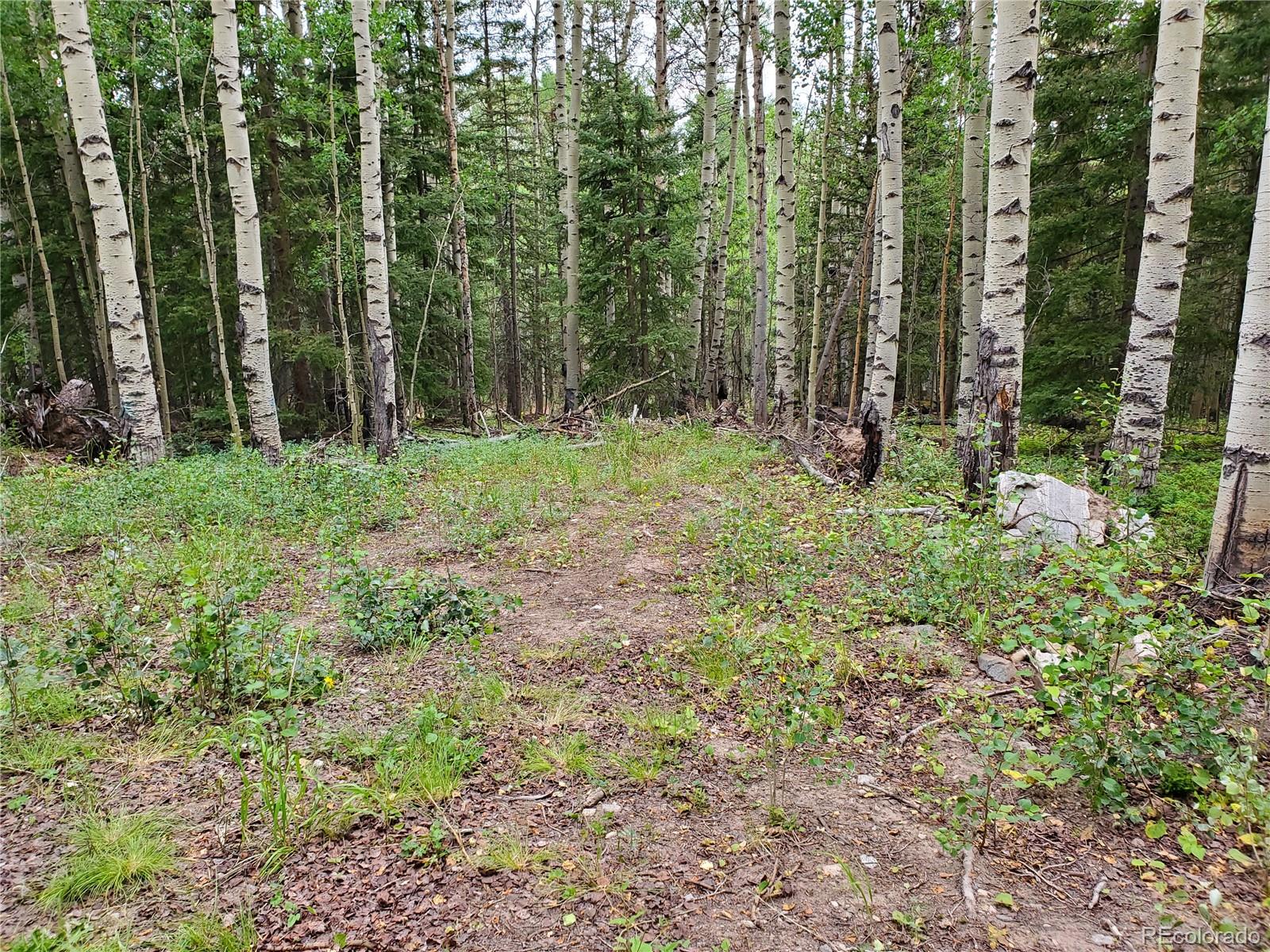 5328 Stock Road Fort Garland, CO 81133 - Photo 4 of 29 Gallery Image 4