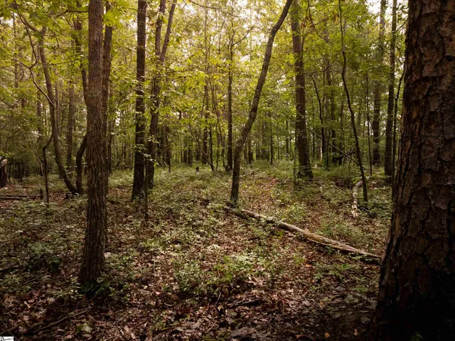 $1,975,000 | 415 Silver Creek Road, Central, SC 29630