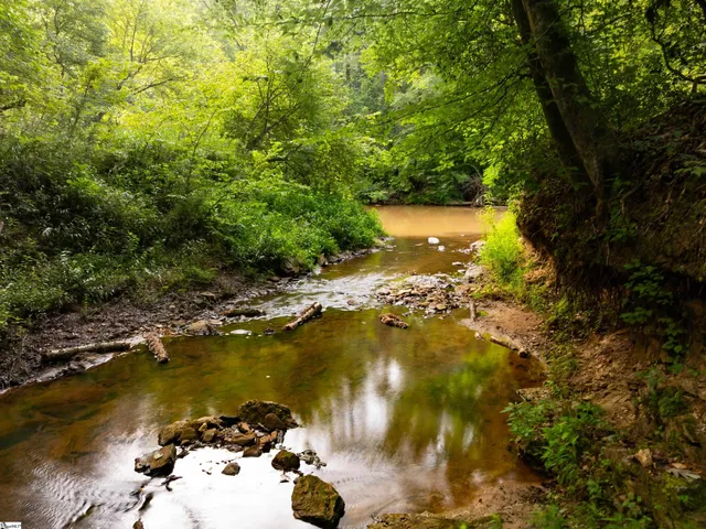 $1,975,000 | 415 Silver Creek Road, Central, SC 29630