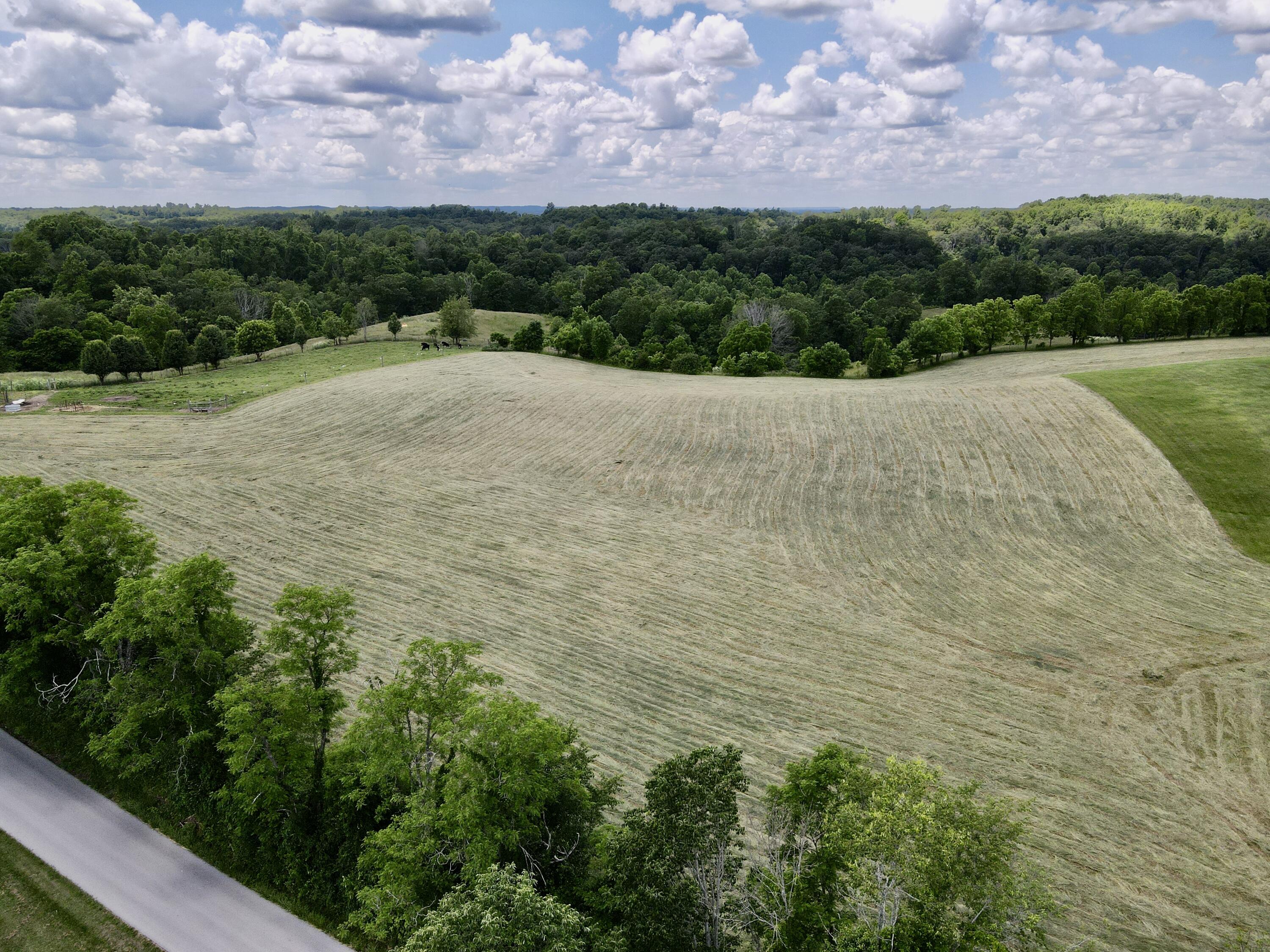 9999 Chestnut Grove Road Brodhead, KY 40409 - Photo 6 of 67 8F653013-C0D5-4137-849D-25321F1754D8