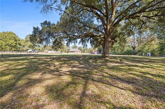 18252 Highway 16 Amite, LA 70422 - Photo 24 of 24