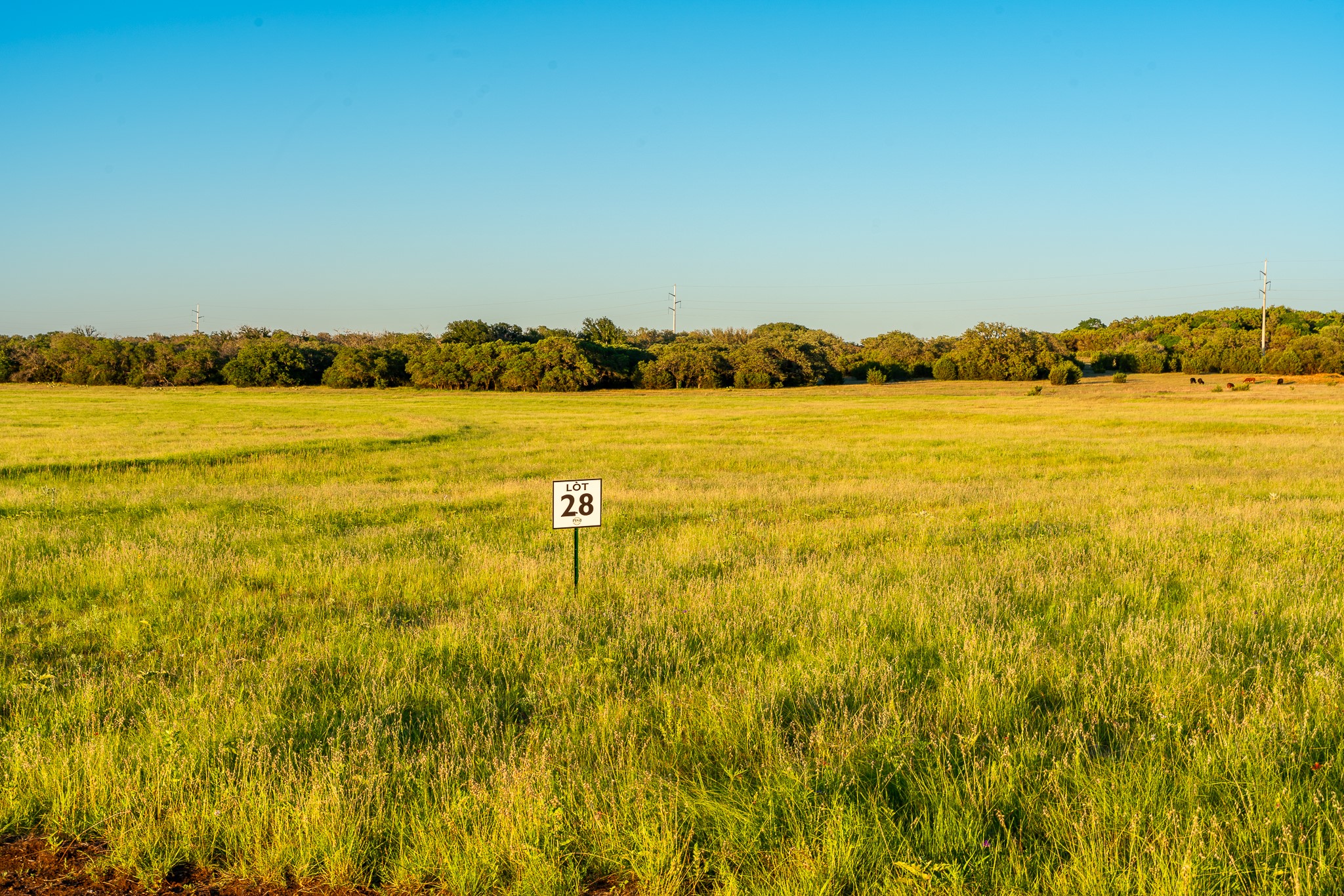 28 Feild Ranch Road Lampasas, TX 76550 - Photo 39 of 40 Cultivate dreams on this expansive, verdant lot, ideal for new construction.
