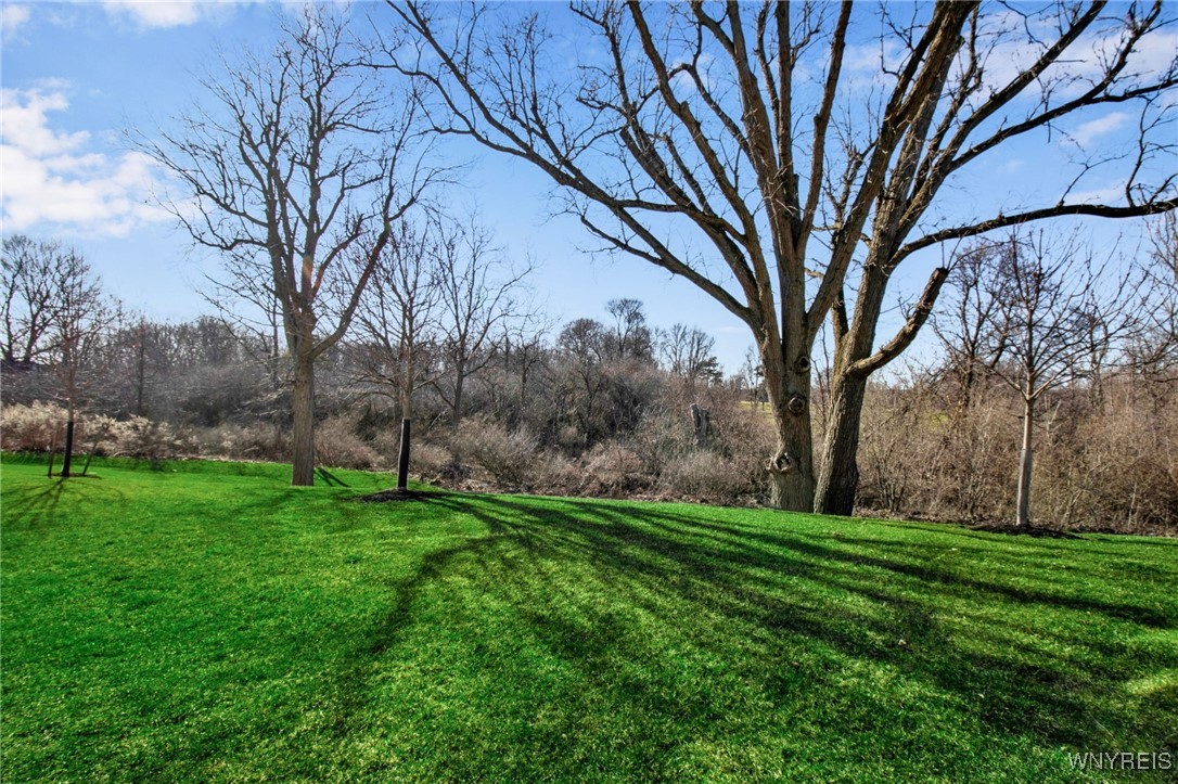 196 Northill Drive, Unit E Amherst, NY 14221 - Photo 45 of 50