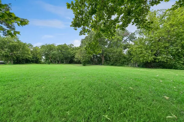 a view of a garden from a backyard