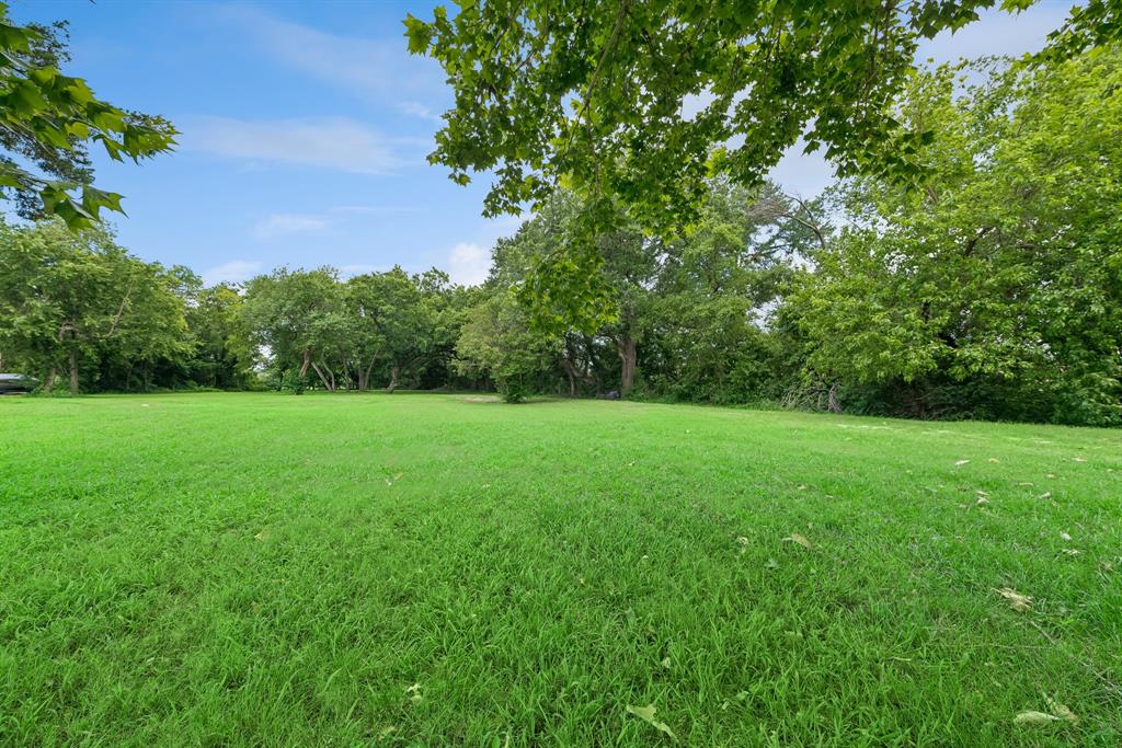 a view of a garden from a backyard