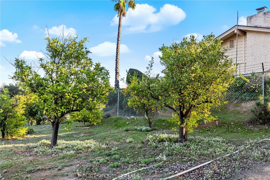 27312 Cool Water Ranch Road Valley Center, CA 92082 - Photo 59 of 62 Orange Groves