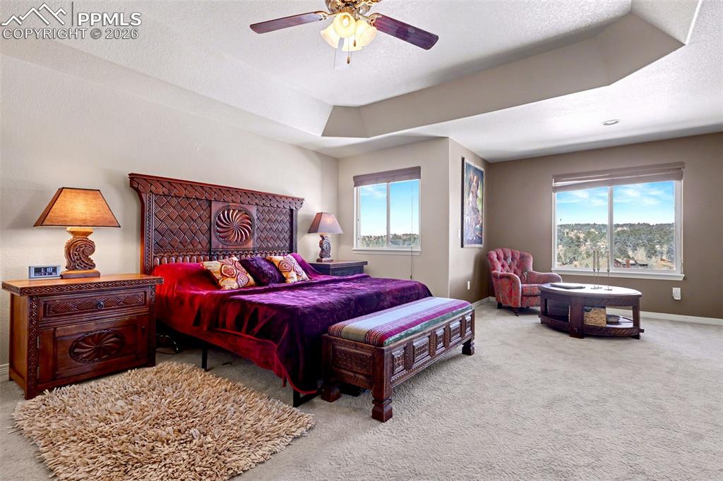 778 Gold Canyon Road Monument, CO 80132 - Photo 21 of 43 Beautiful tray ceiling accents in the primary bedroom
