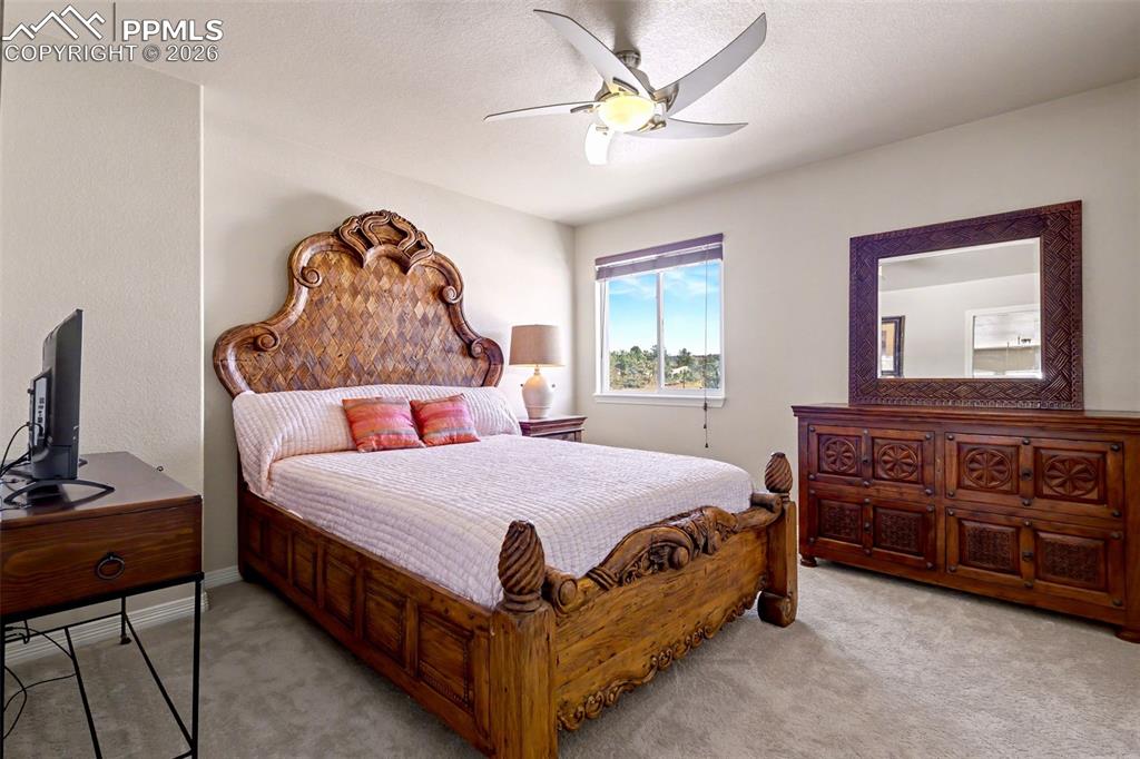 778 Gold Canyon Road Monument, CO 80132 - Photo 32 of 43 Upper level additional bedroom