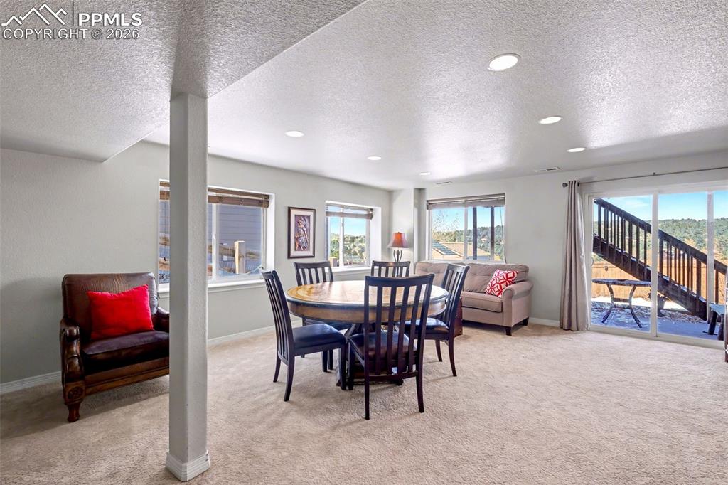 778 Gold Canyon Road Monument, CO 80132 - Photo 33 of 43 Lower level family room