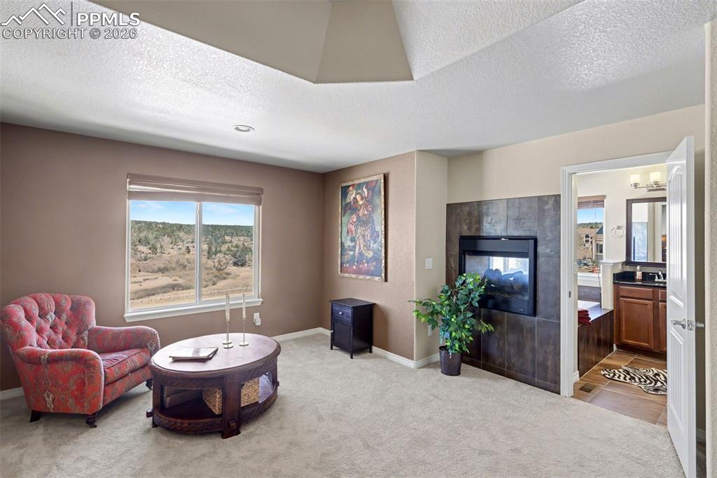 778 Gold Canyon Road Monument, CO 80132 - Photo 8 of 43 Relax in your sitting area with fireplace in the primary bedroom