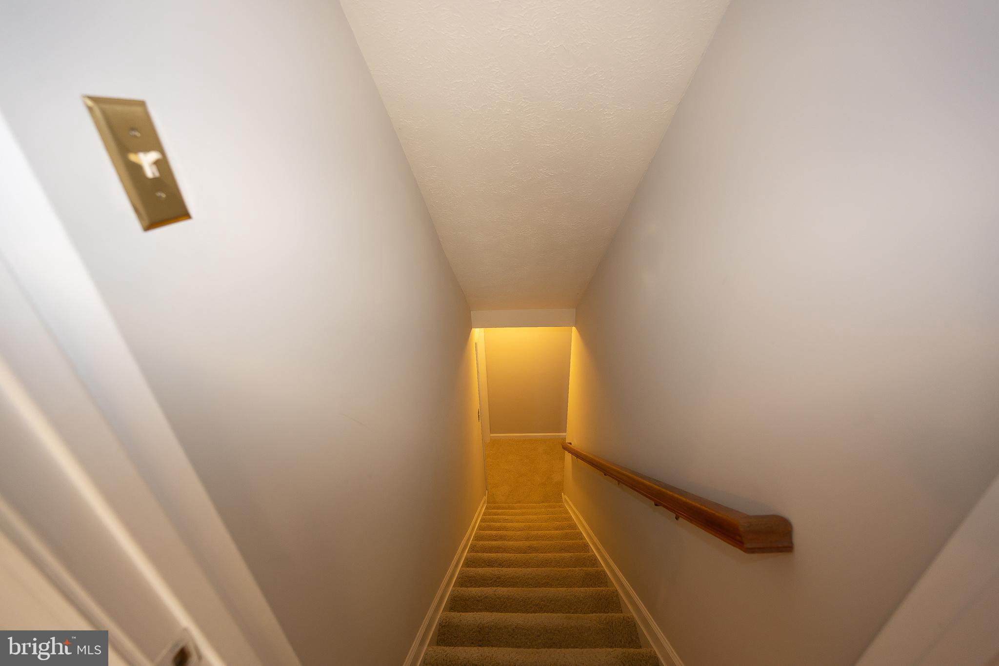 6507 White Post Road Centreville, VA 20121 - Photo 50 of 57 Stairs to Basement