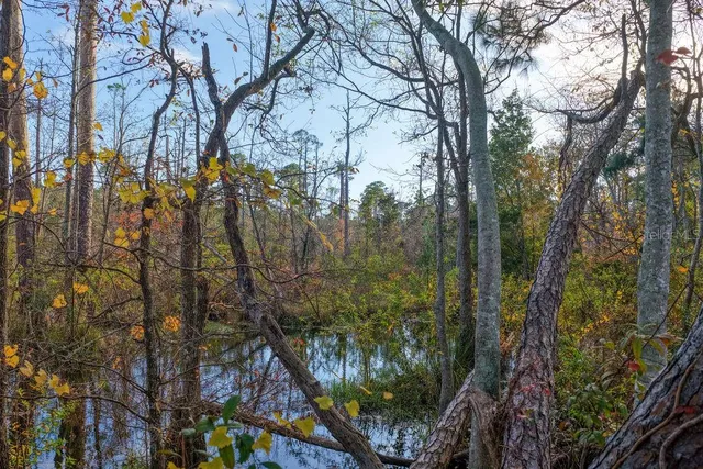 a backyard of a house with lots of trees