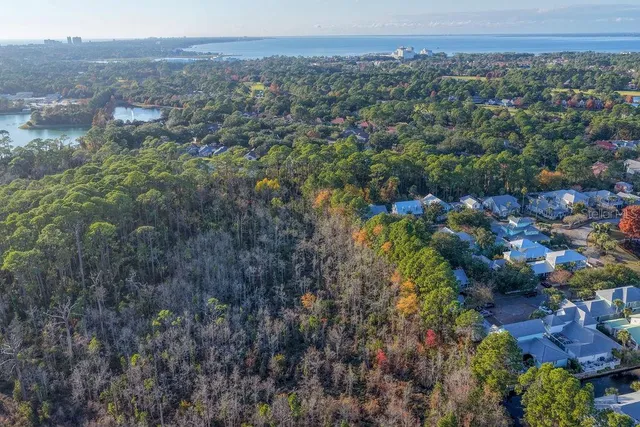 a view of a city with lush green forest