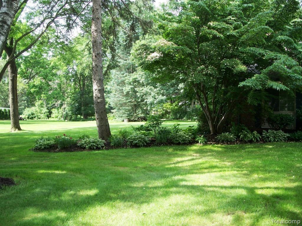 West View of Lot