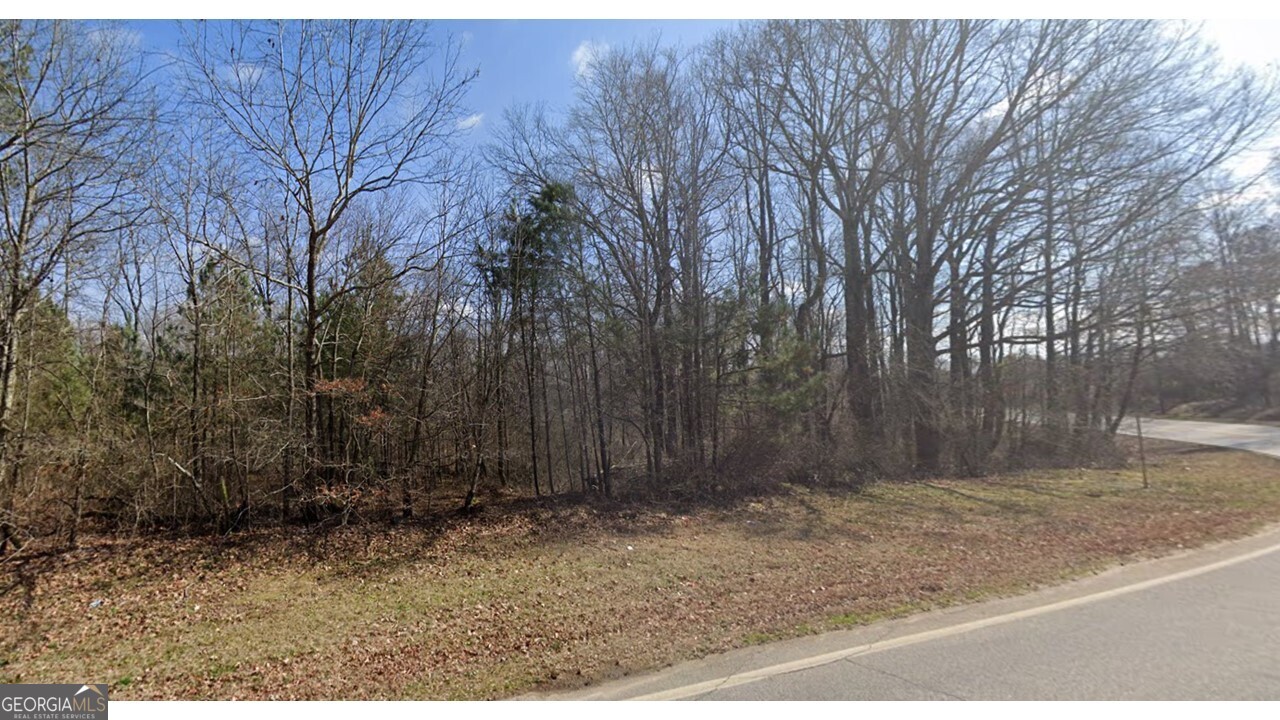 3601 Indian Shoals Road Southeast Bethlehem, GA 30620 - Photo 2 of 3 a backyard of a house