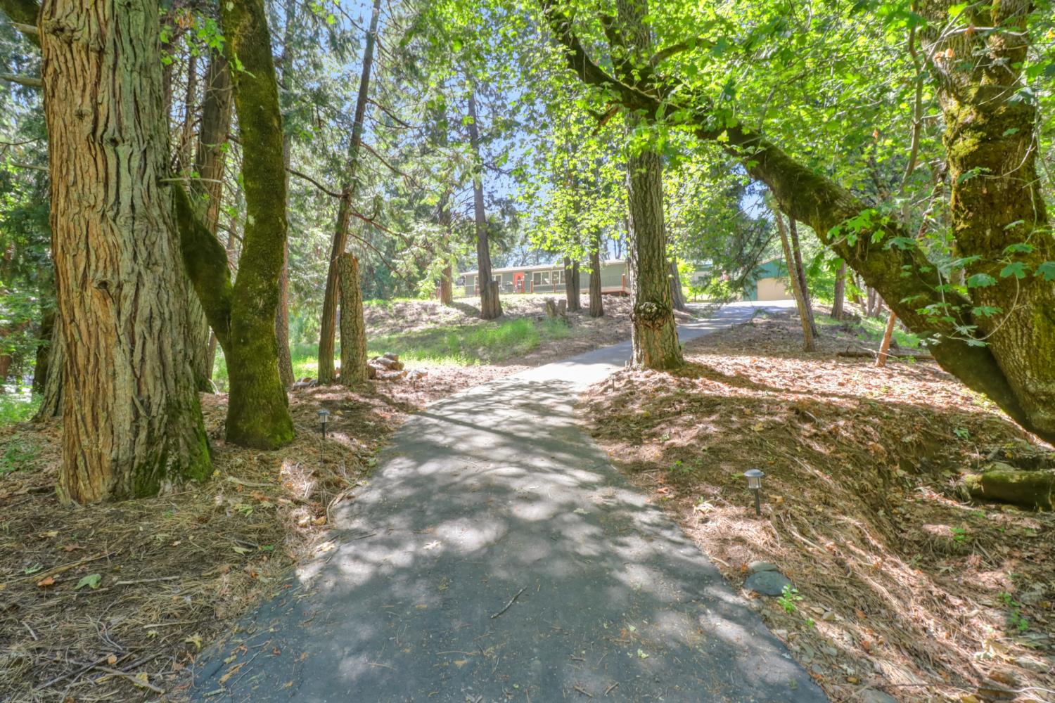 4909 Clear Creek Road Placerville, CA 95667 - Photo 60 of 66