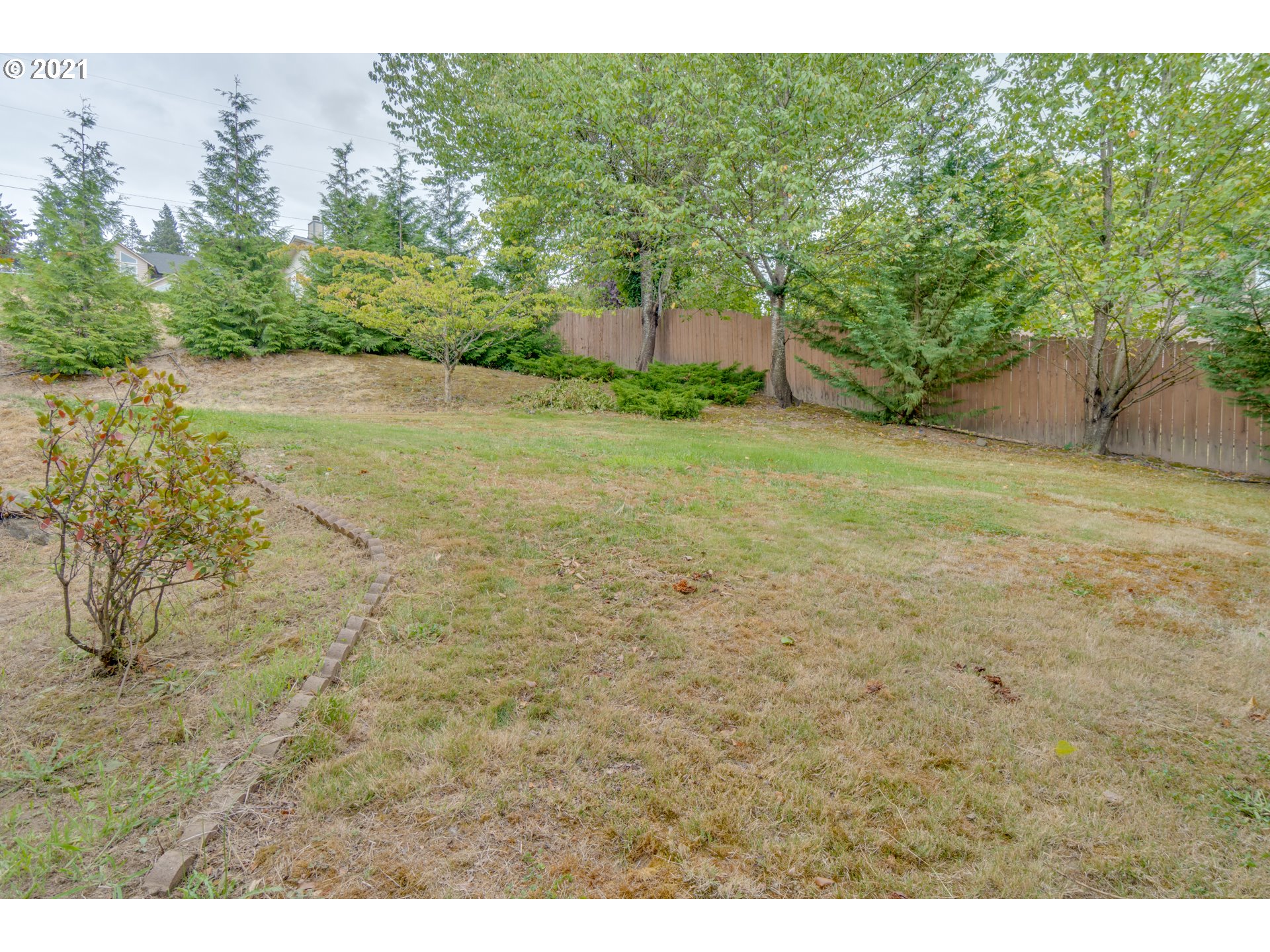 295 South Hillhurst Road Ridgefield, WA 98642 - Photo 21 of 32 a view of a yard with a tree