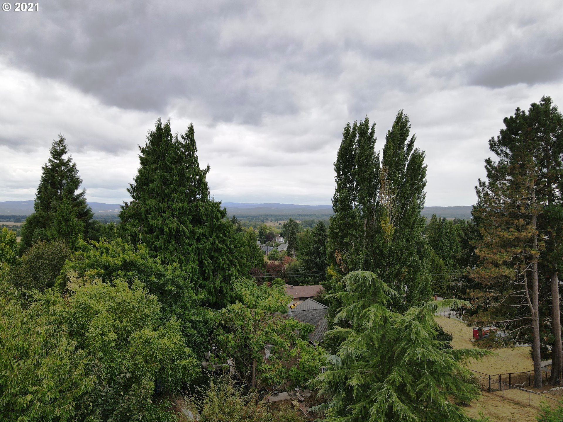 295 South Hillhurst Road Ridgefield, WA 98642 - Photo 24 of 32 a city view with lots of trees