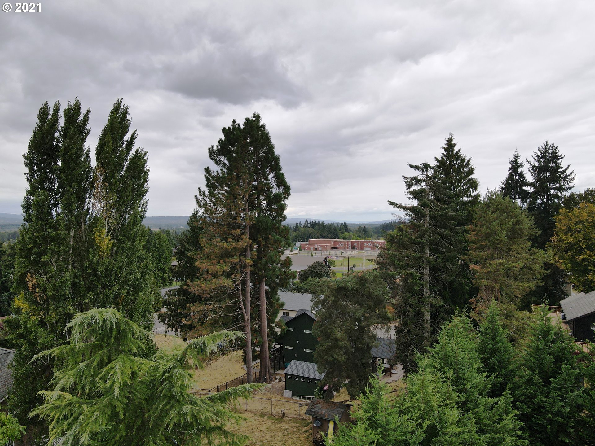 295 South Hillhurst Road Ridgefield, WA 98642 - Photo 26 of 32 a view of a city with lush green forest