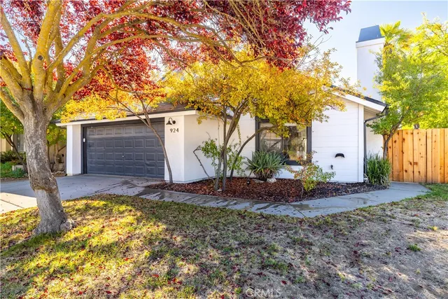 a view of a backyard with plants and large tree